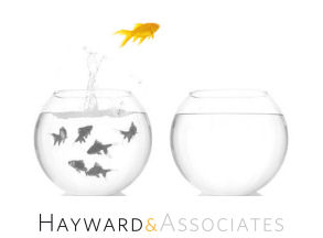 Hayward & Associates Ltd